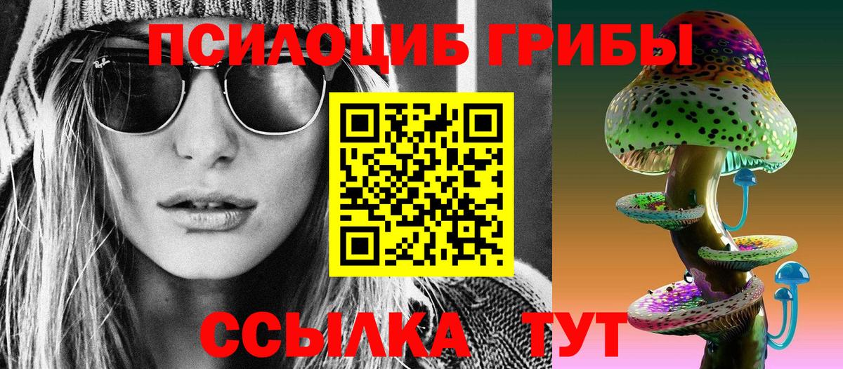 Галлюциногенные грибы GOLDEN TEACHER  Вход с VPN  Галлюциногенные грибы Psilocybine cubensis  Гурьевск 